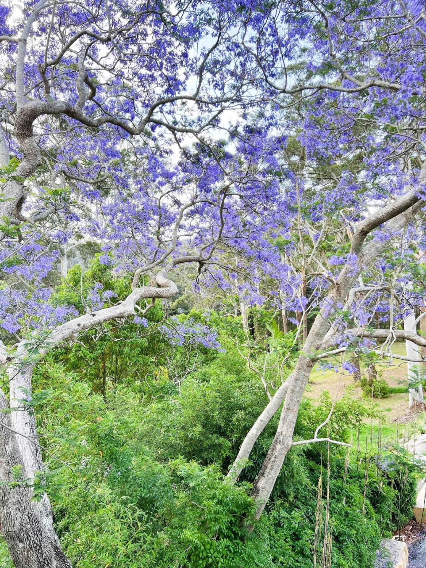 View Retreat Only 7 Minutes To Terrigal Apartment